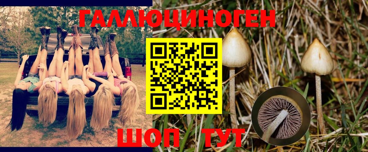 Галлюциногенные грибы Cubensis  Вход с VPN  Донецк 